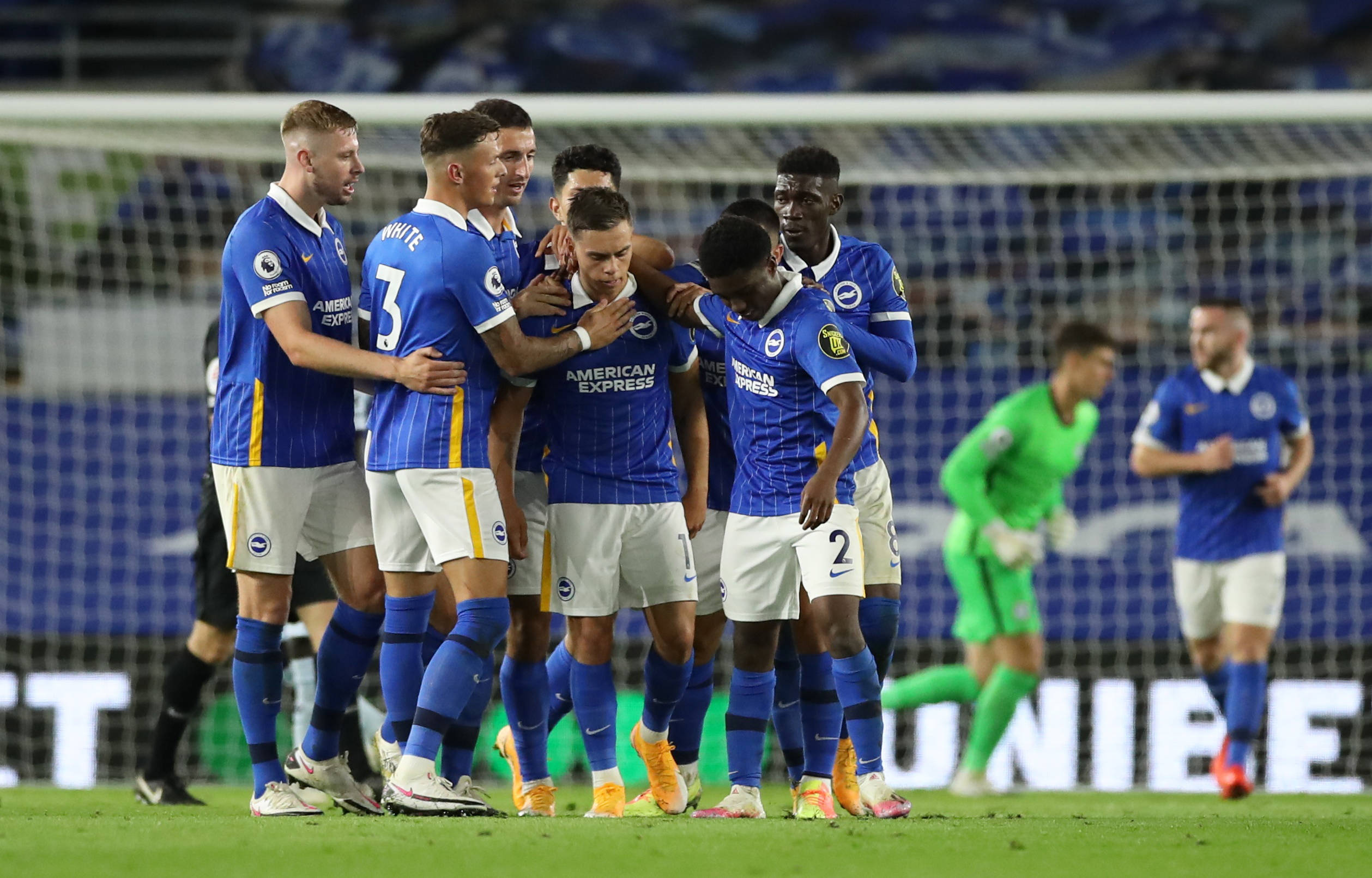 球运动员的 球运动员的